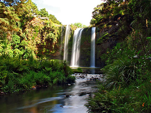 Whangarei Falls